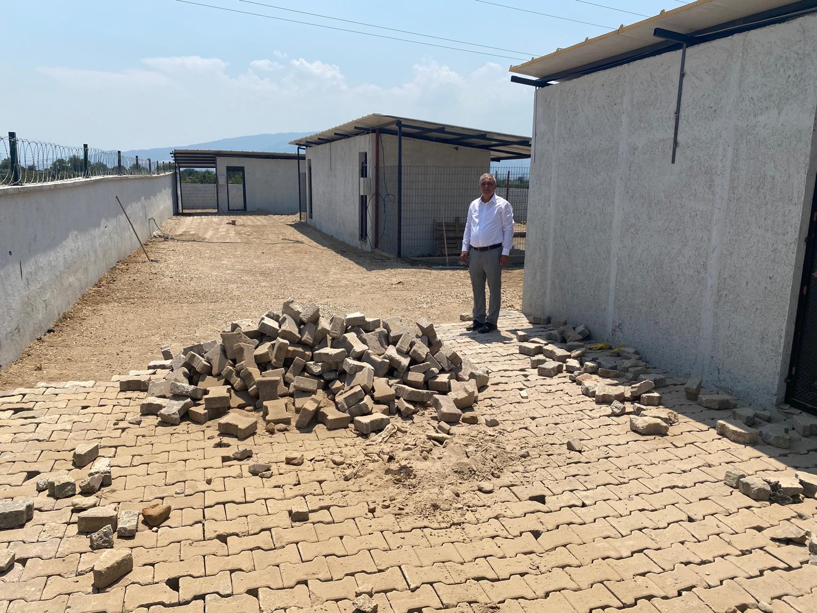 518406074 1078316981062301 7725424976519150839 N