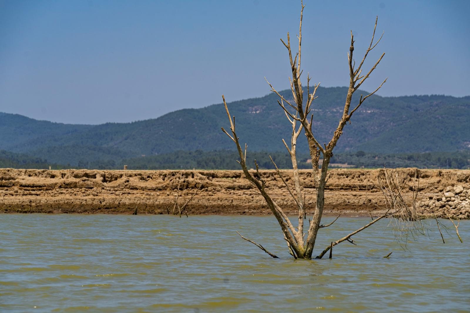 519492071 1546418856338285 6338631781532017076 N