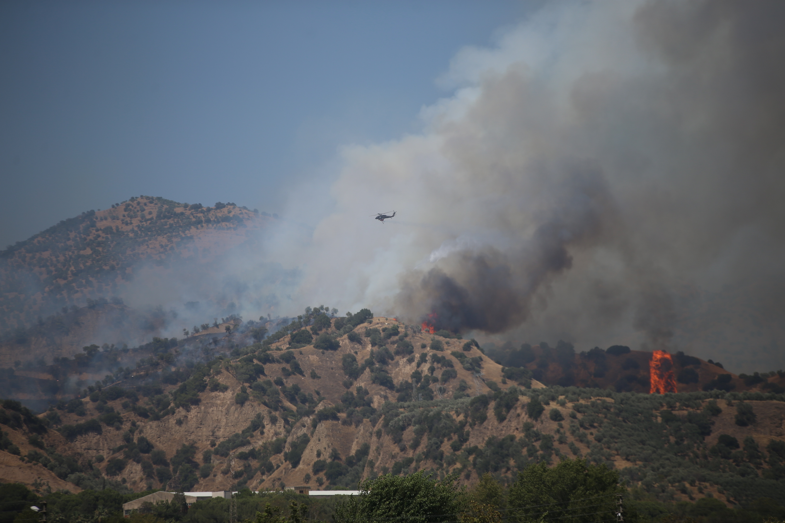 A A 20250727 38678499 38678496 A Y D I N D A A G A C L I K A L A N D A C I K A N Y A N G I N A M U D A H A L E E D I L I Y O R