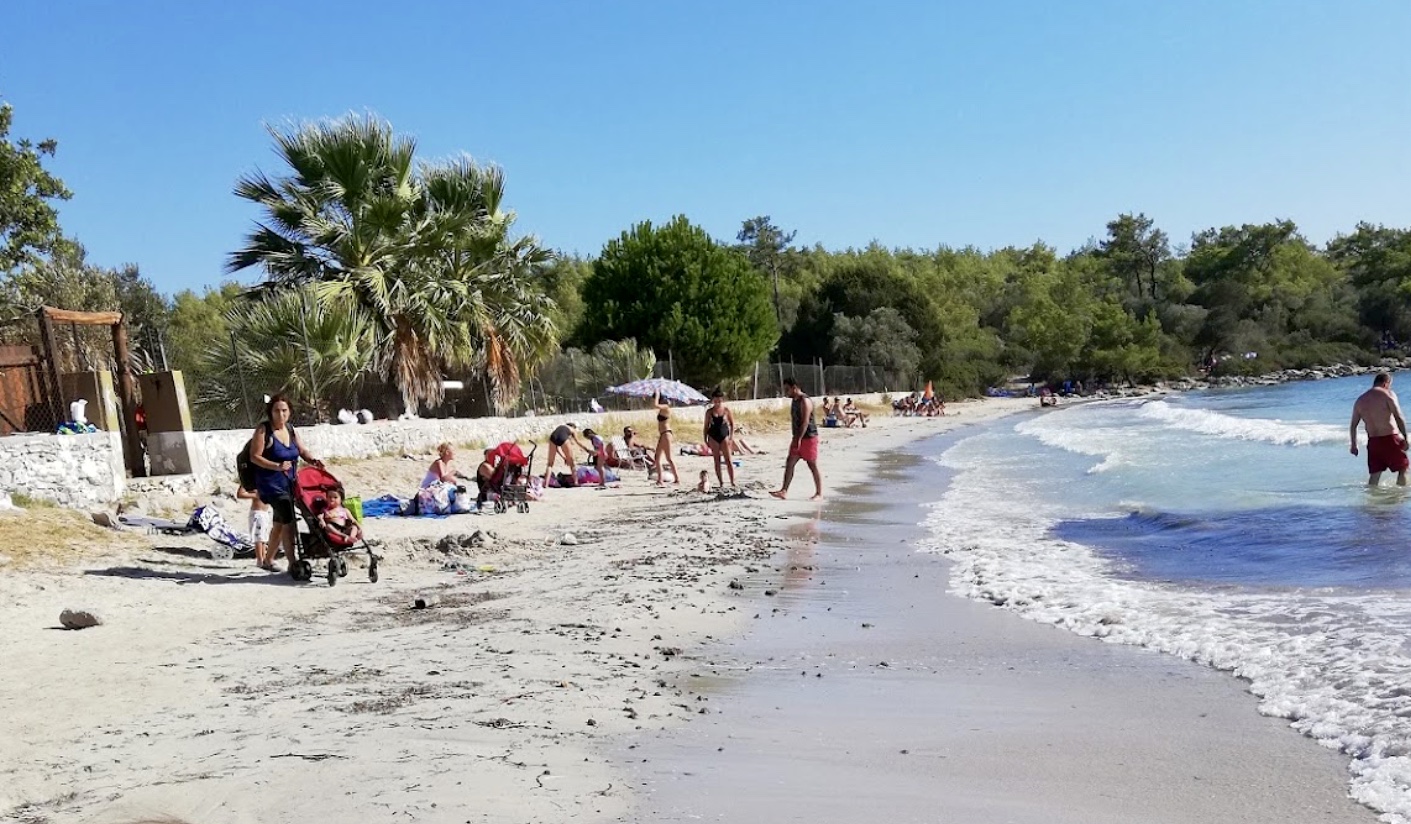 Didim Akbük’te Saklı Cennet Haydar Koyu Hakkında Merak Edilenler (1)