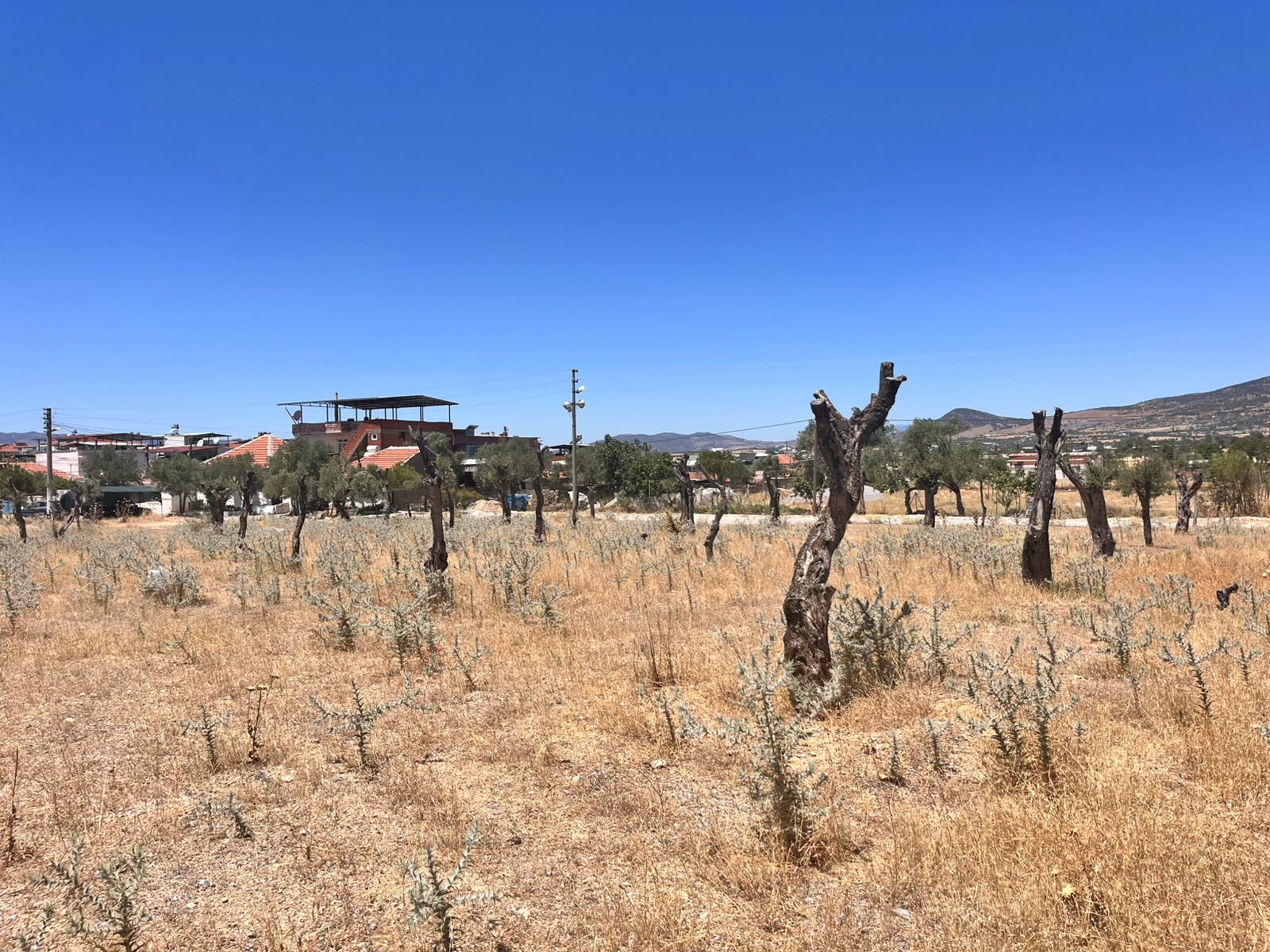 Whatsapp Image 2025 07 05 At 15.34.39