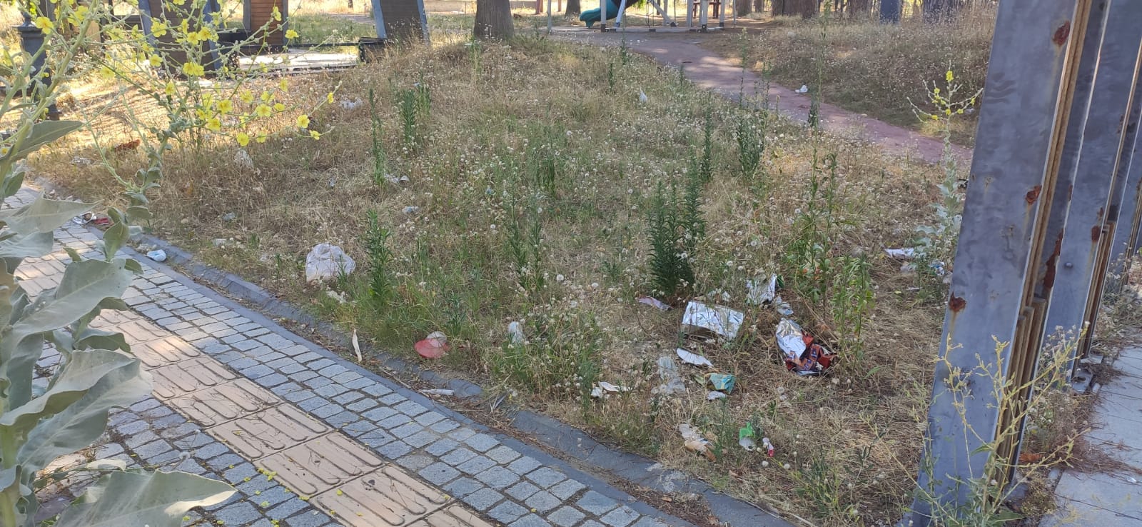 Whatsapp Image 2025 07 08 At 12.15.48