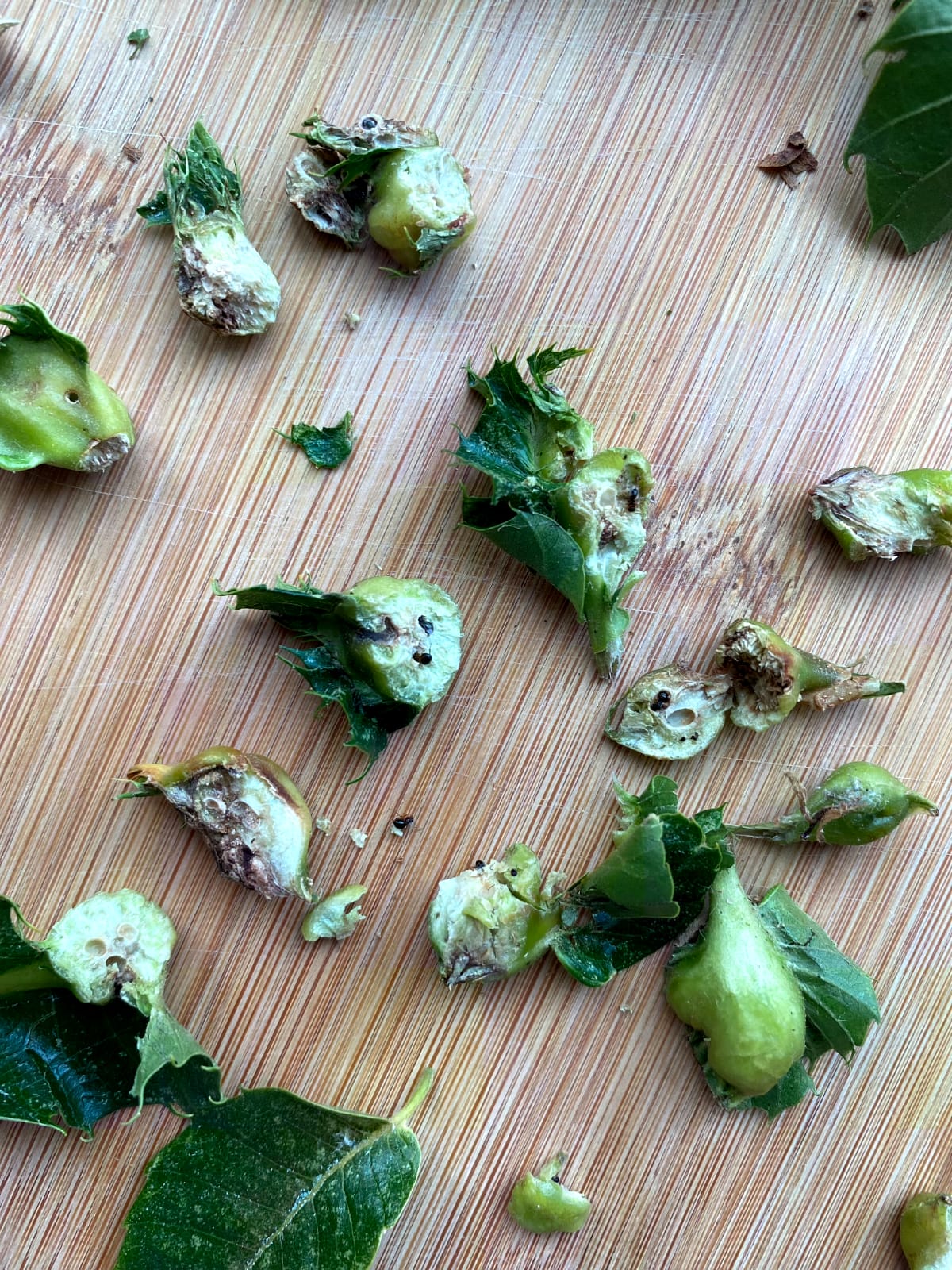 Whatsapp Image 2025 07 09 At 14.54.40