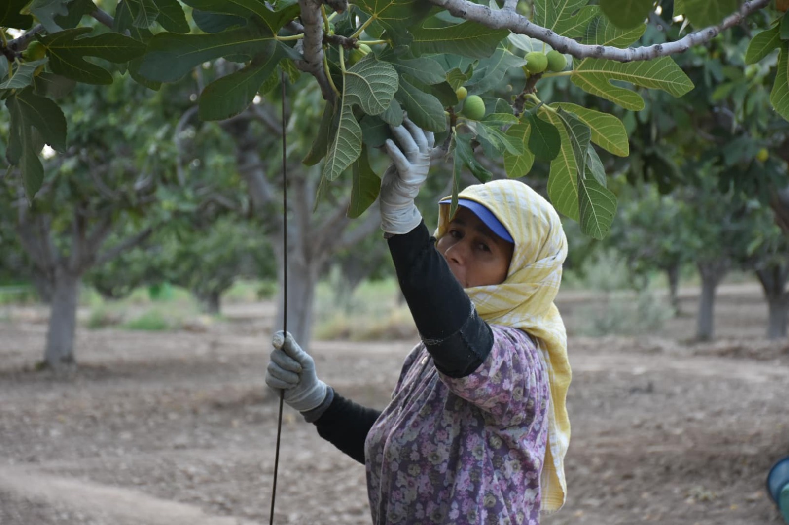 Whatsapp Image 2025 07 17 At 11.28.15