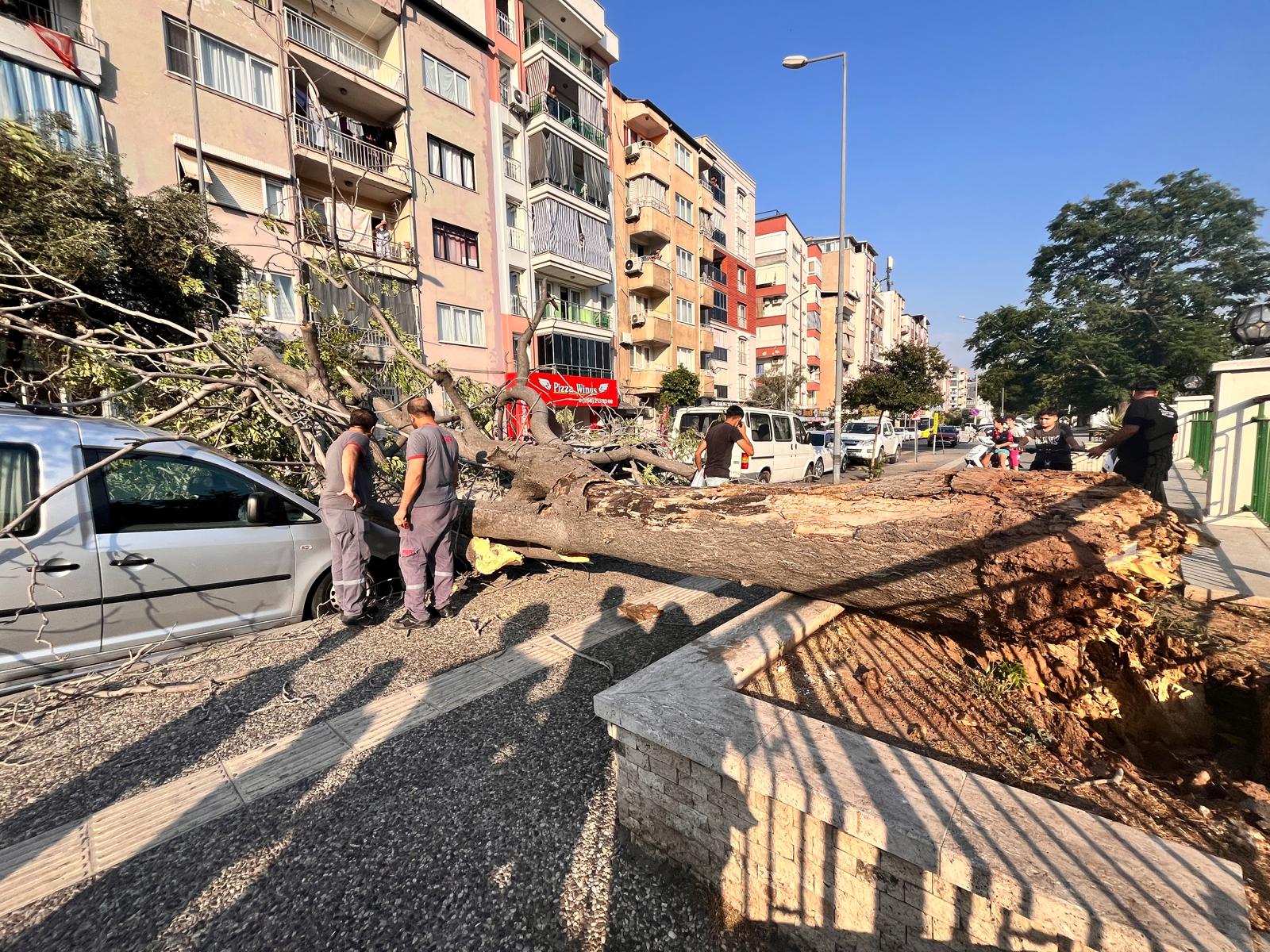 Whatsapp Image 2025 07 17 At 18.55.15