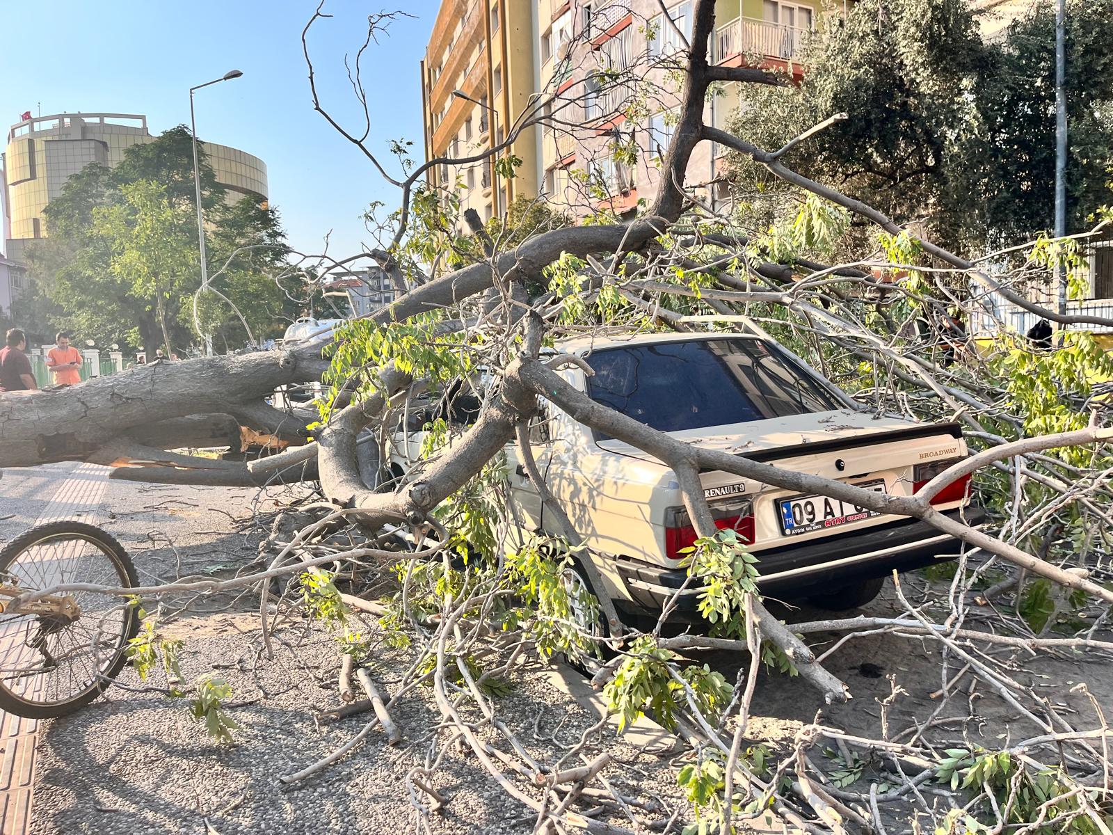 Whatsapp Image 2025 07 17 At 18.55.27