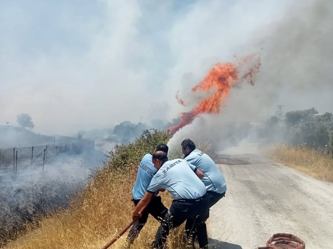 Whatsapp Image 2025 07 18 At 16.36.48