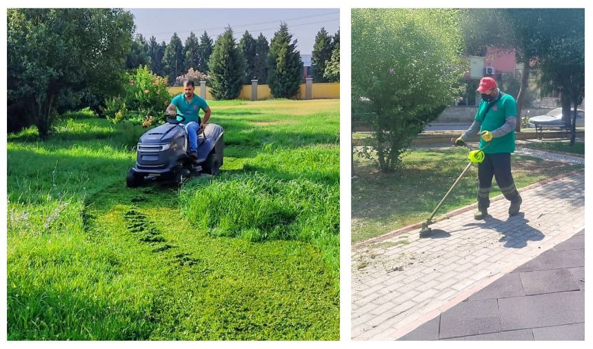 Whatsapp Image 2025 07 26 At 15.49.40 (1)