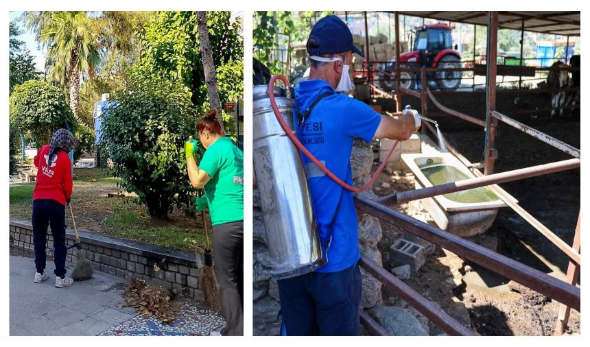 Whatsapp Image 2025 07 26 At 15.49.40