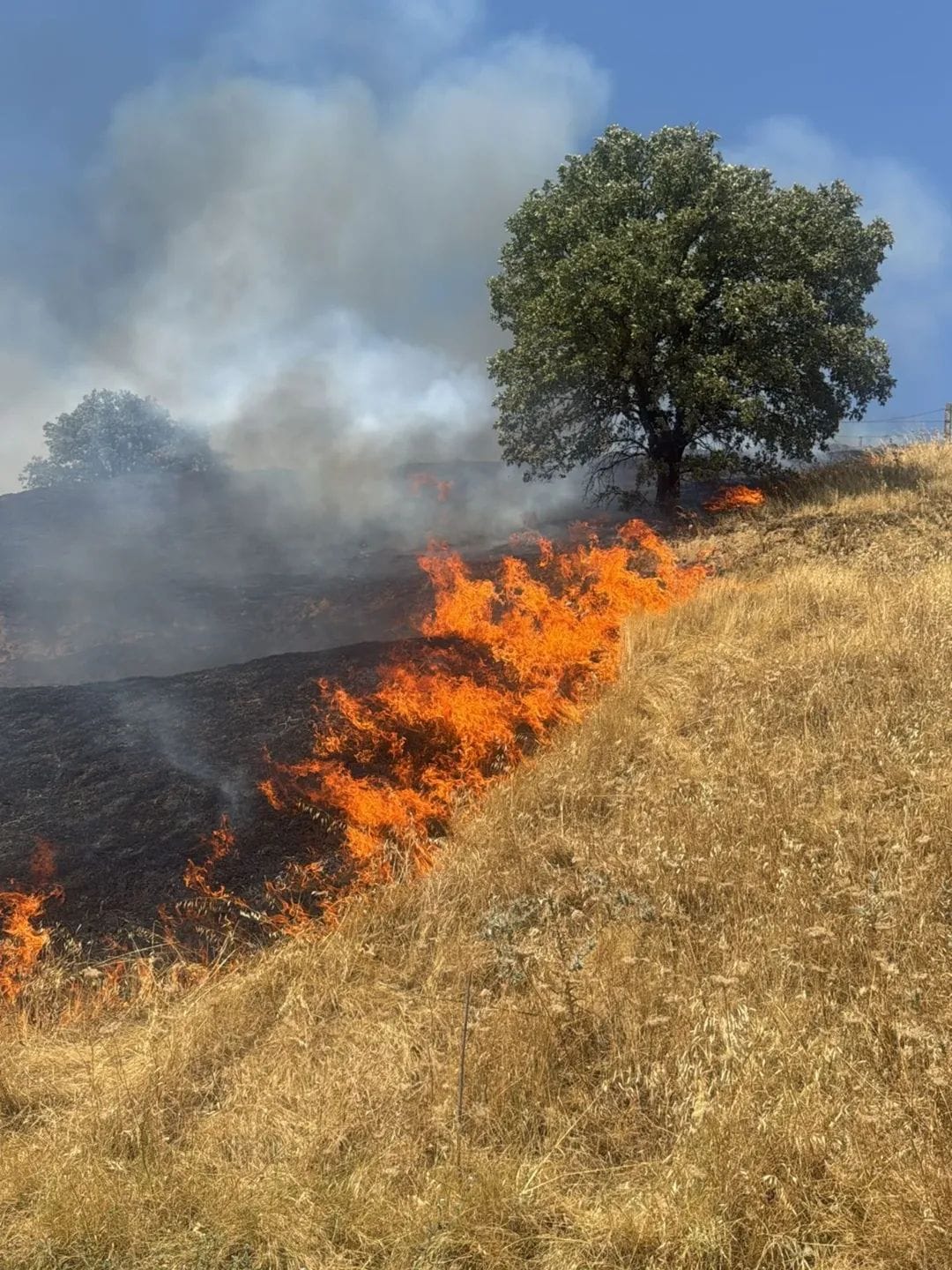 Whatsapp Image 2025 07 27 At 15.34.11