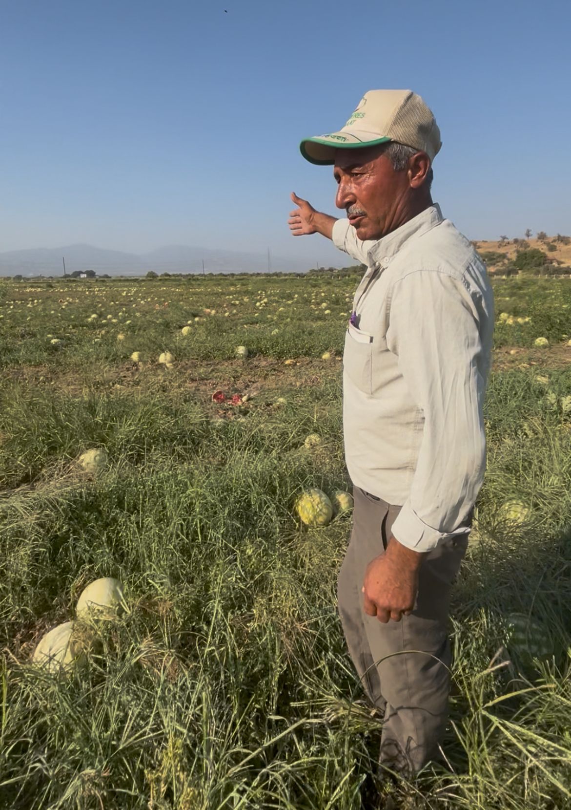 Whatsapp Image 2025 07 29 At 10.20.28