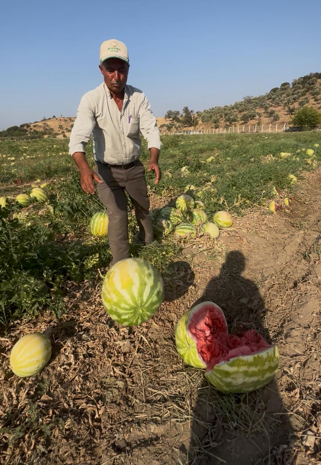 Whatsapp Image 2025 07 29 At 10.22.52