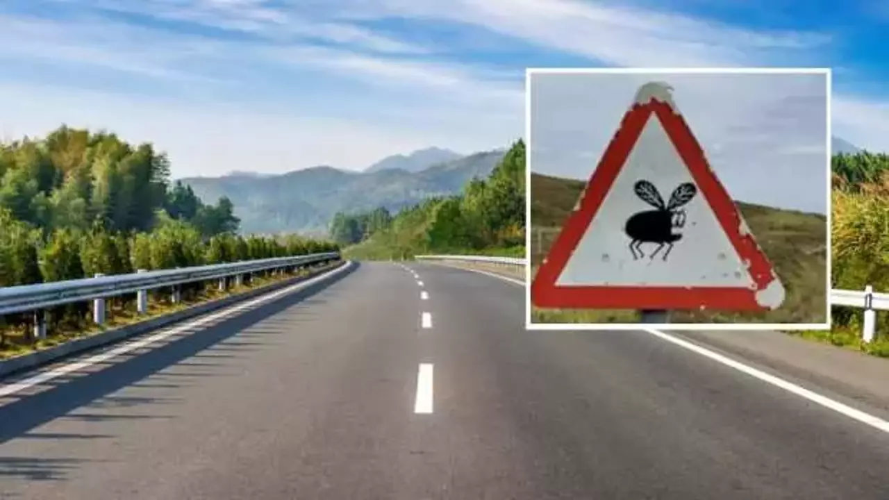 Yeni Trafik Levhasini Goren Bir Daha Bakiyor 1753385171 2144