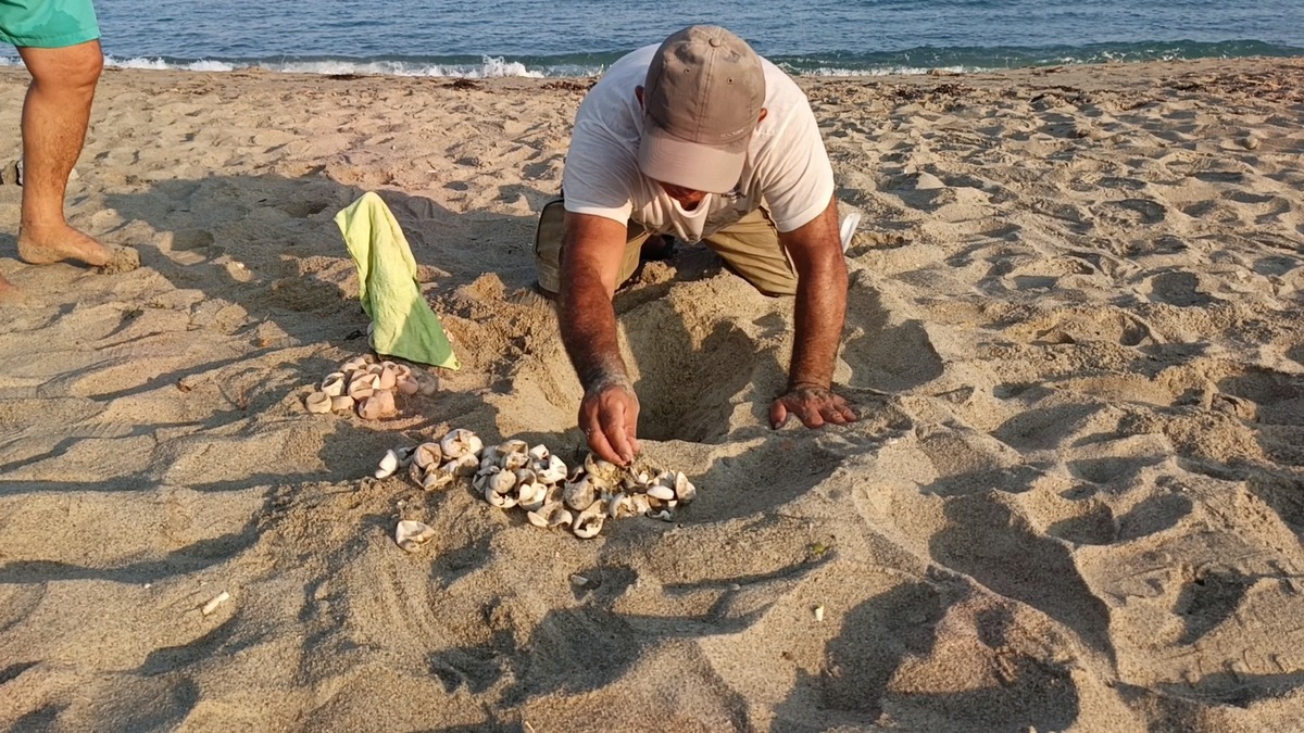 526724497 10161938157952075 7898318199716774948 N