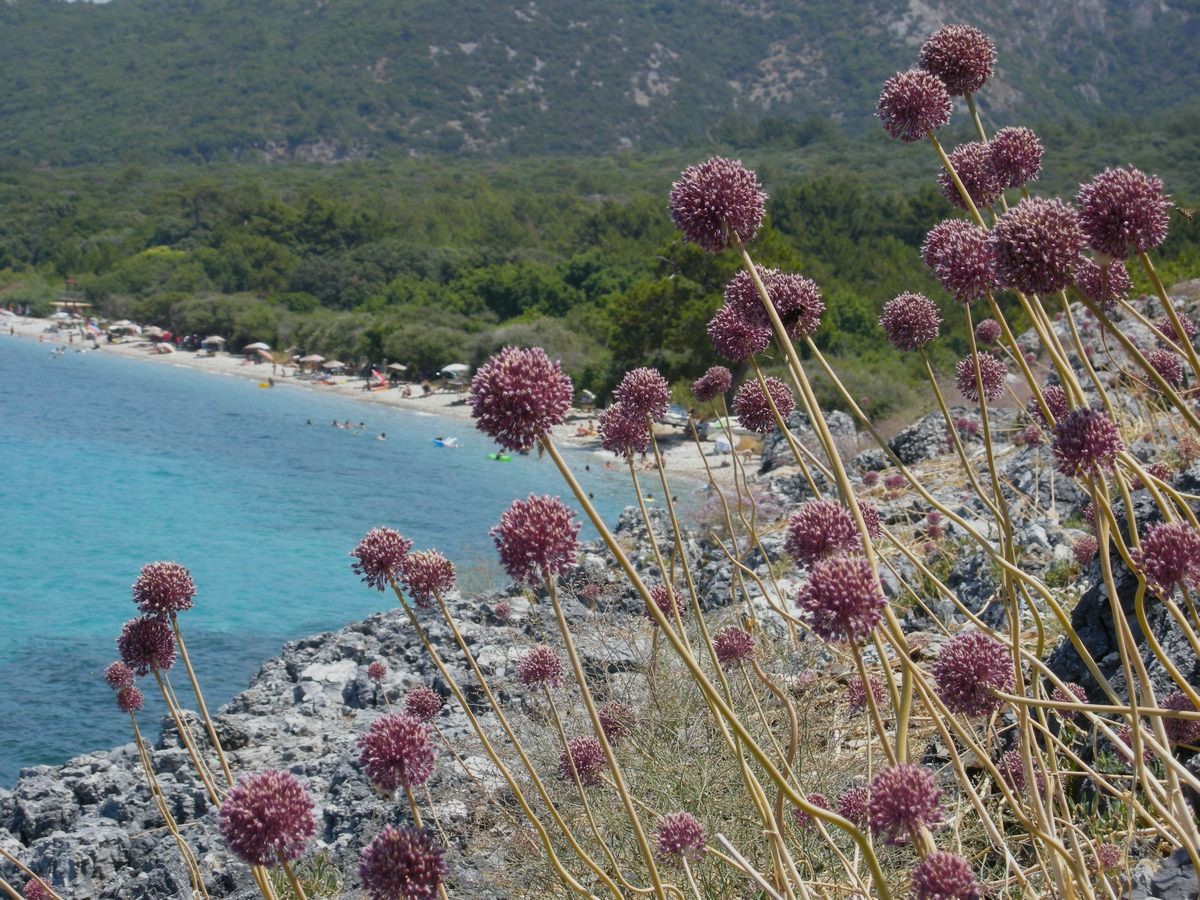 537486093 10162012631177075 4187117249831807972 N