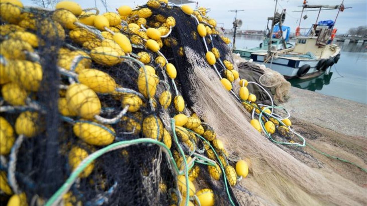 Balık av yasağı 2025