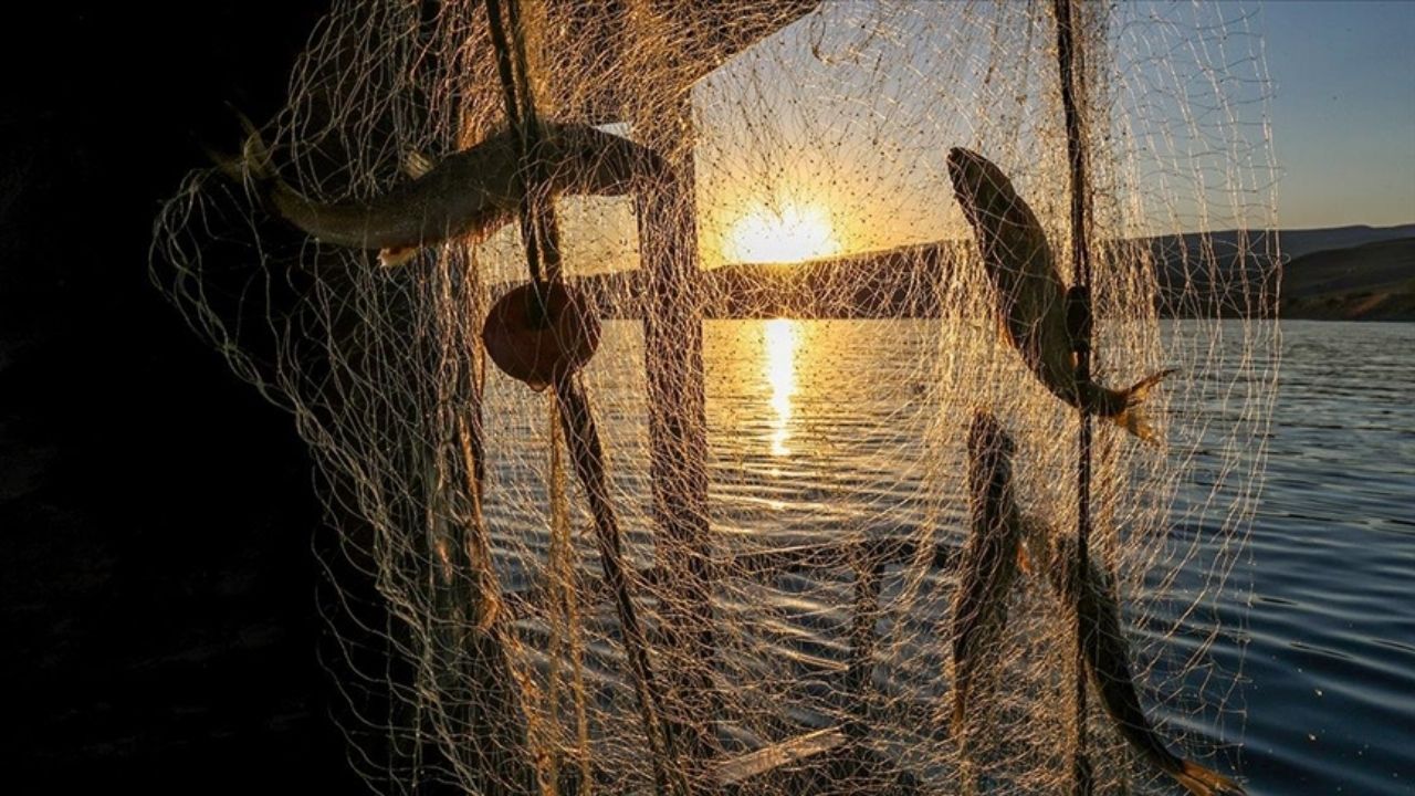 Balıkçılara müjde