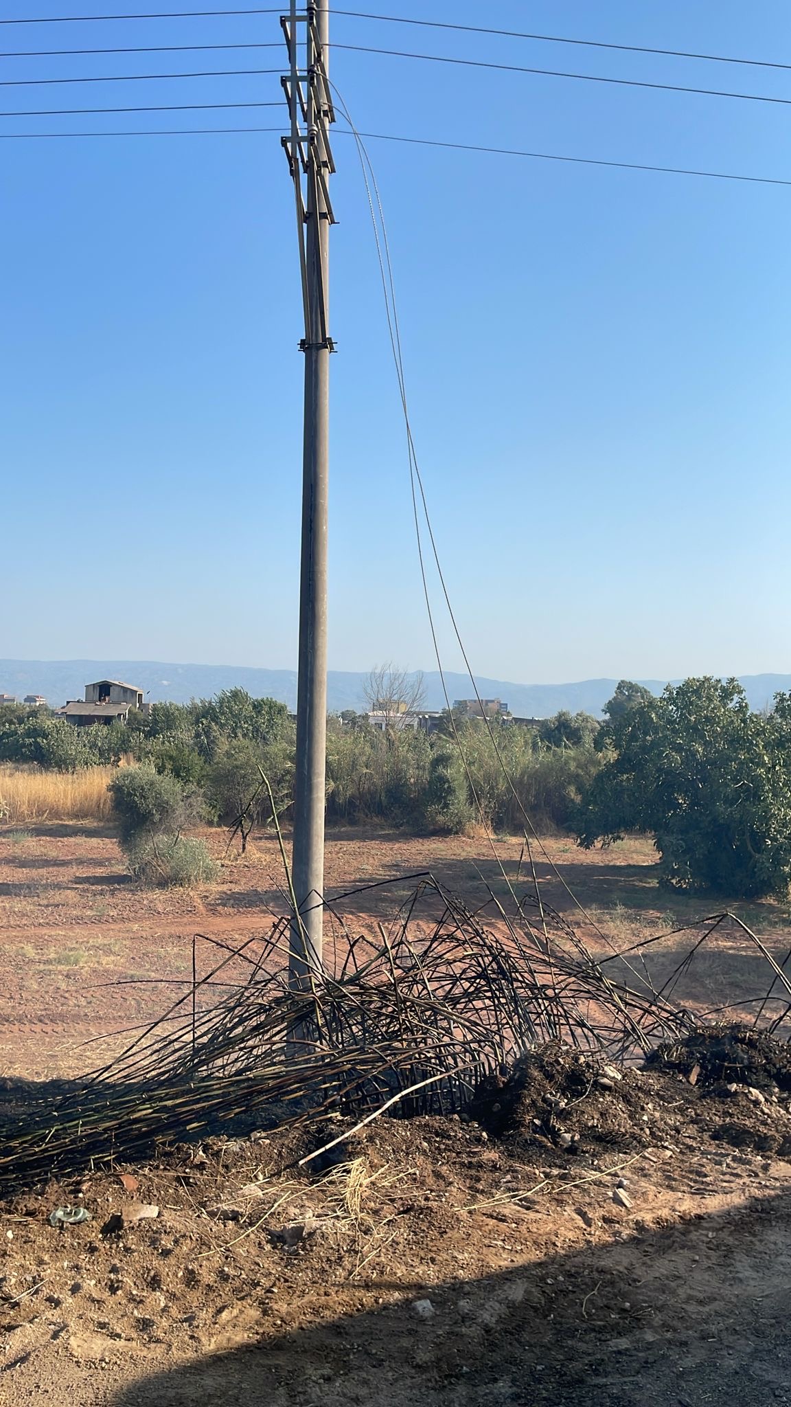 D9E67Ca2 D1D5 41C2 B232 E61B6D6Dbfa6