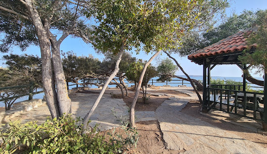 Didim Tavşanburnu Denizi Nasıl, 2025 Giriş Ücretleri, Tavşanburnu Kaç Km Ve Daha Bir Çok Merak Edilenler.. (4)