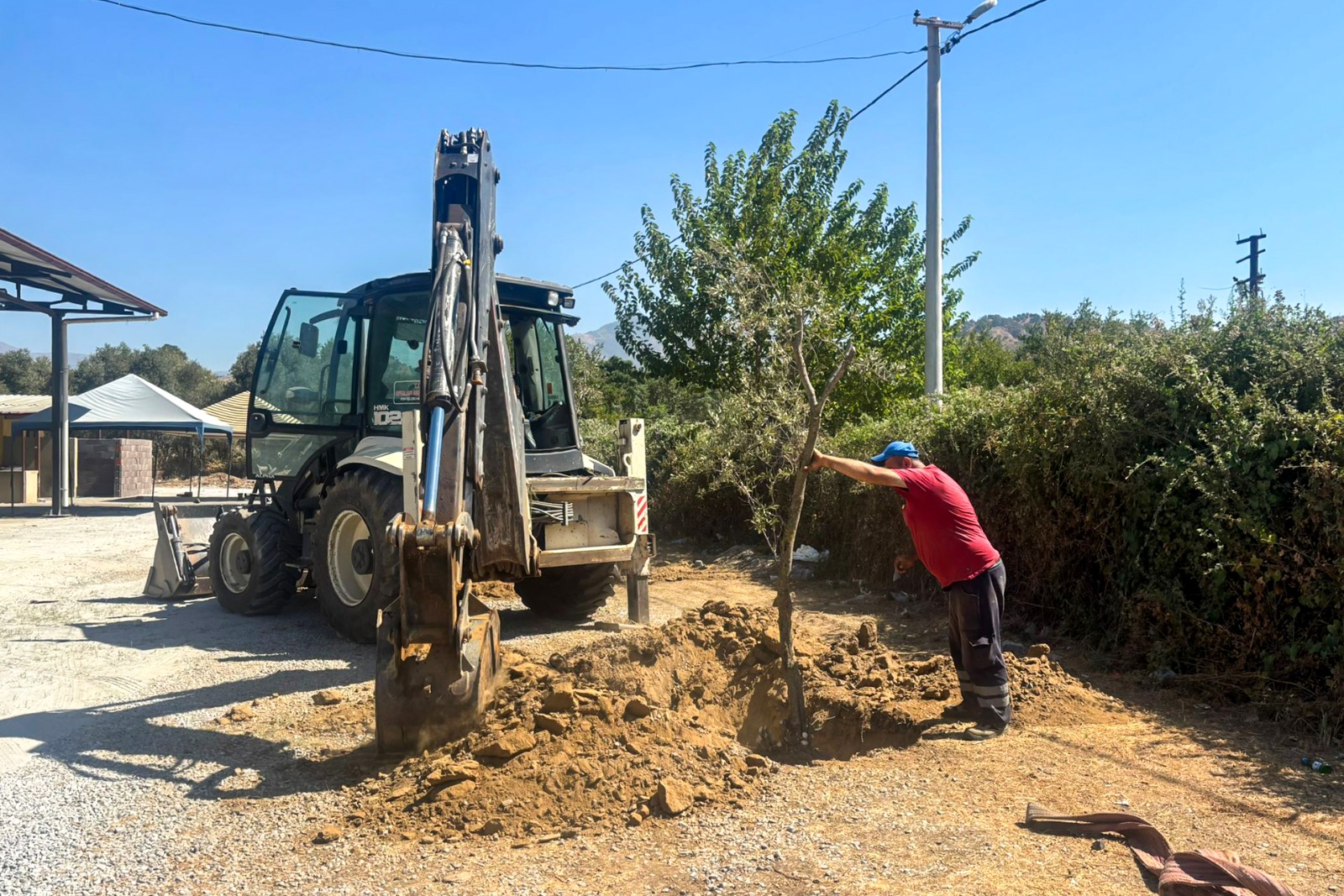 Efeler Belediyesi’nden Örnek Çevre Duyarlılığı Zeytin Ağaçları Taşındı (3)