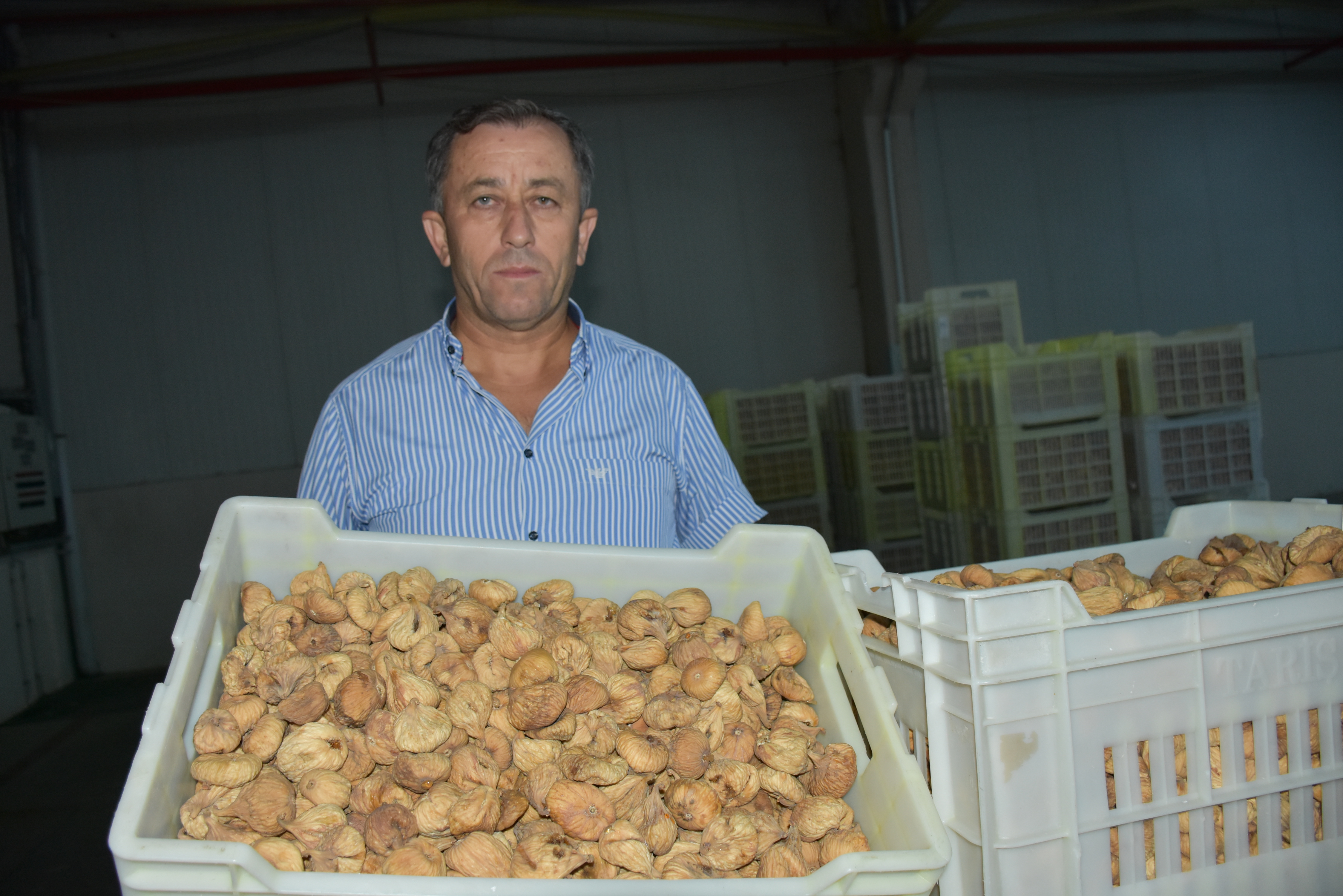 Tariş’ten 2025 2026 Kuru Incir Sezonu Fiyatları (2)