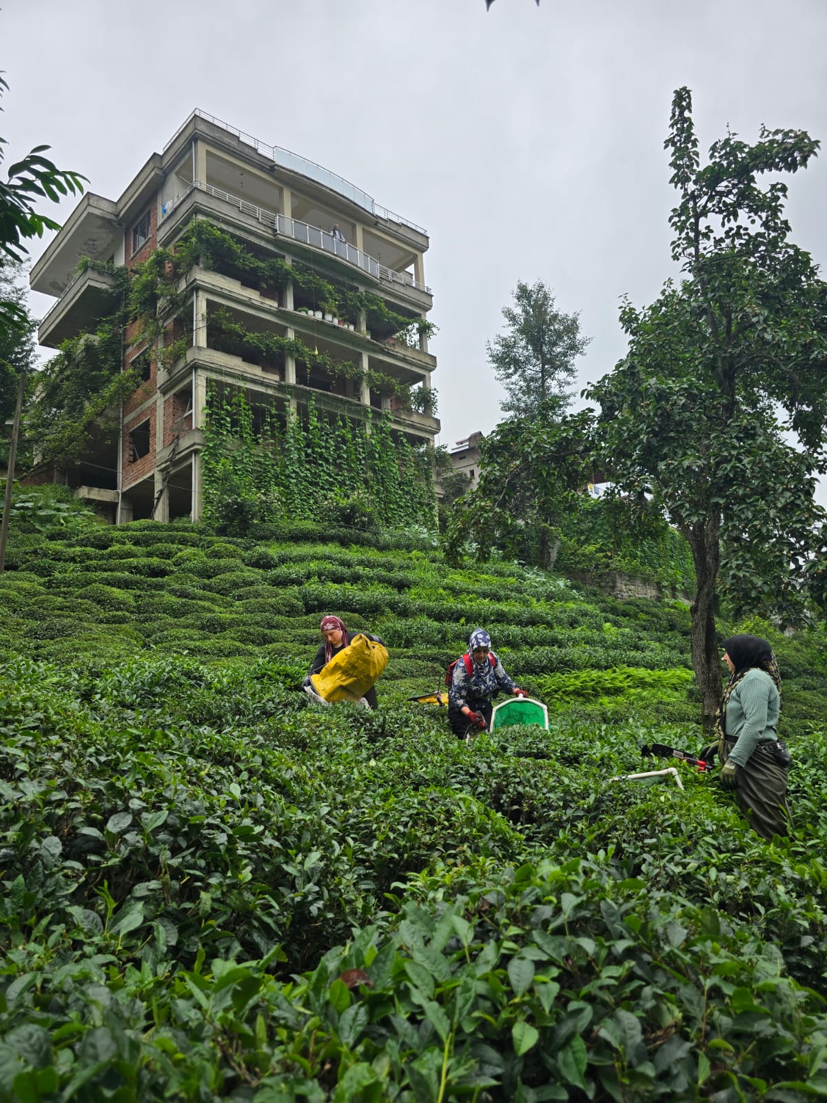 Whatsapp Image 2025 08 04 At 10.41.13 (5)