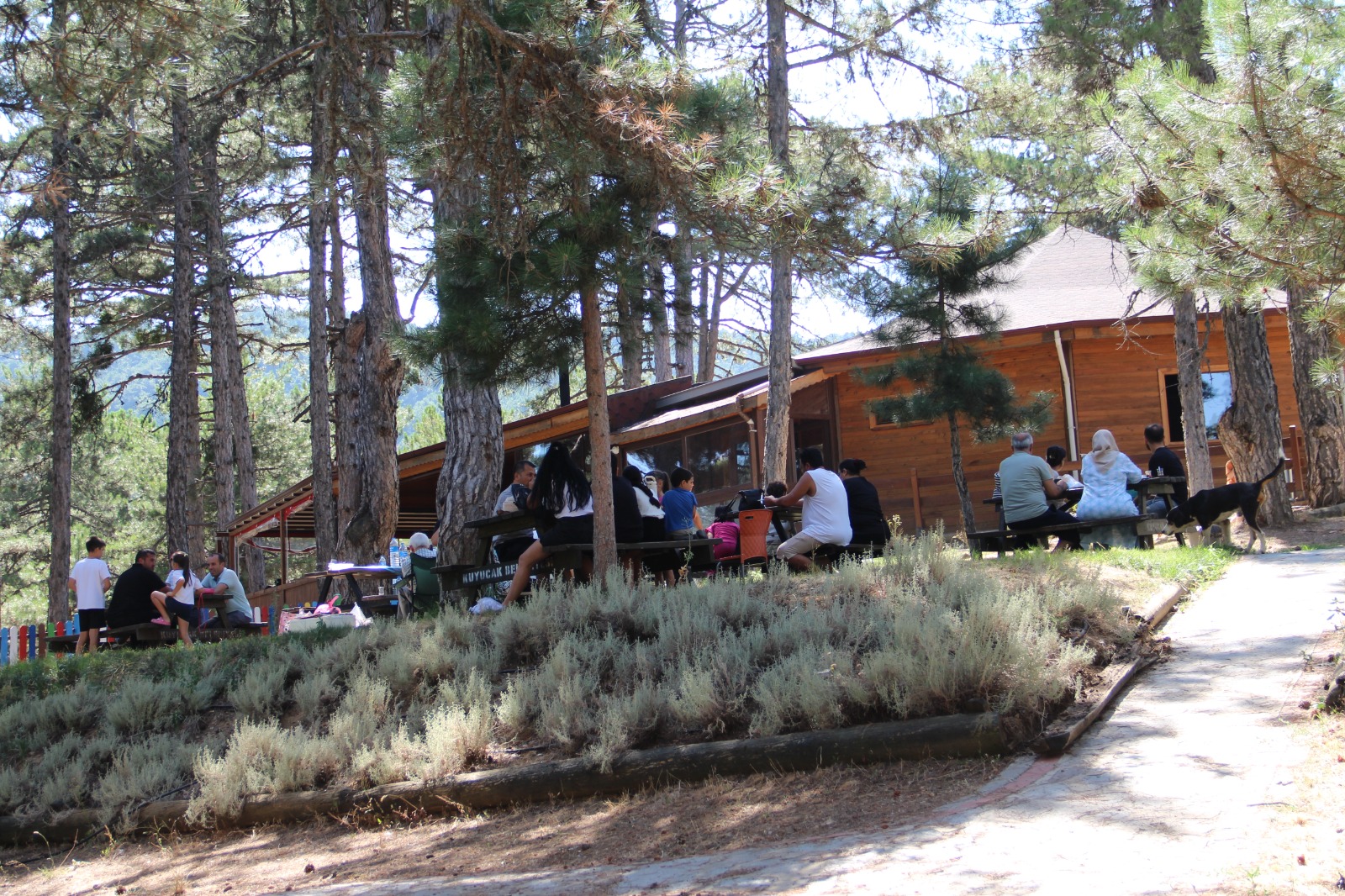 Whatsapp Image 2025 08 11 At 10.29.43 (1)