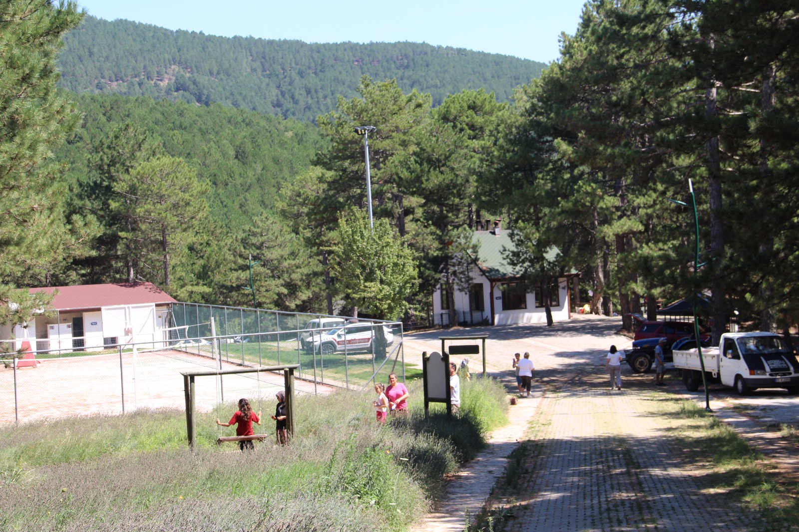 Whatsapp Image 2025 08 11 At 10.29.43