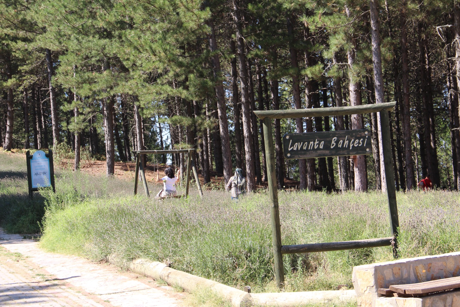 Whatsapp Image 2025 08 11 At 10.29.44