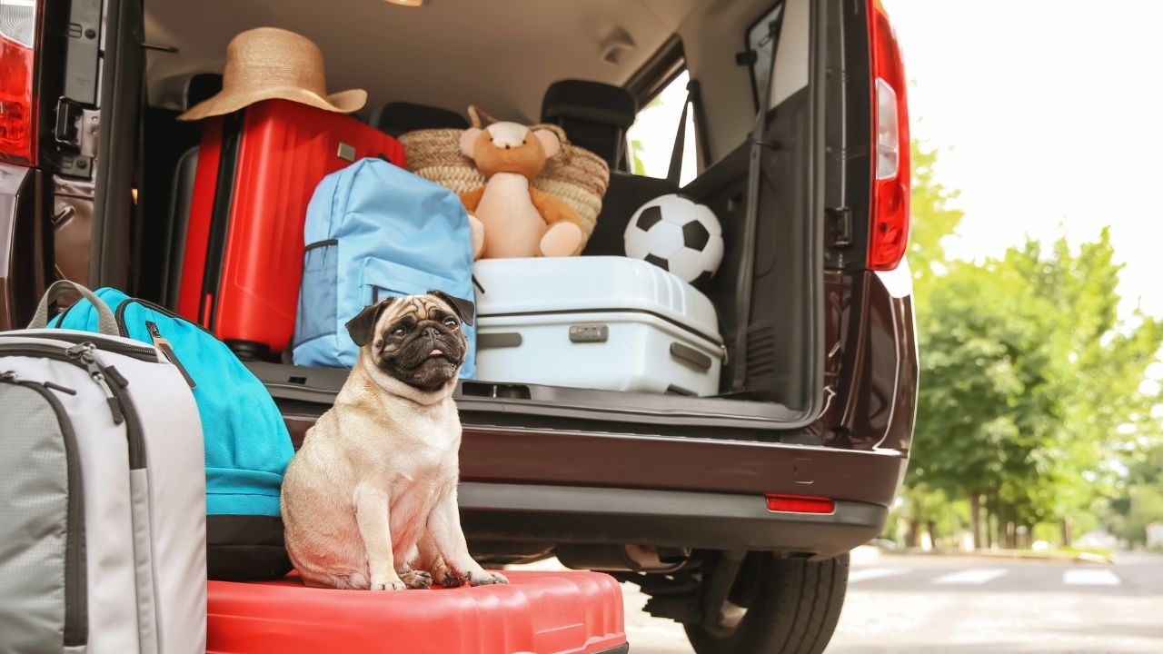 Adsız Tasarım 2025 09 13T130351.346