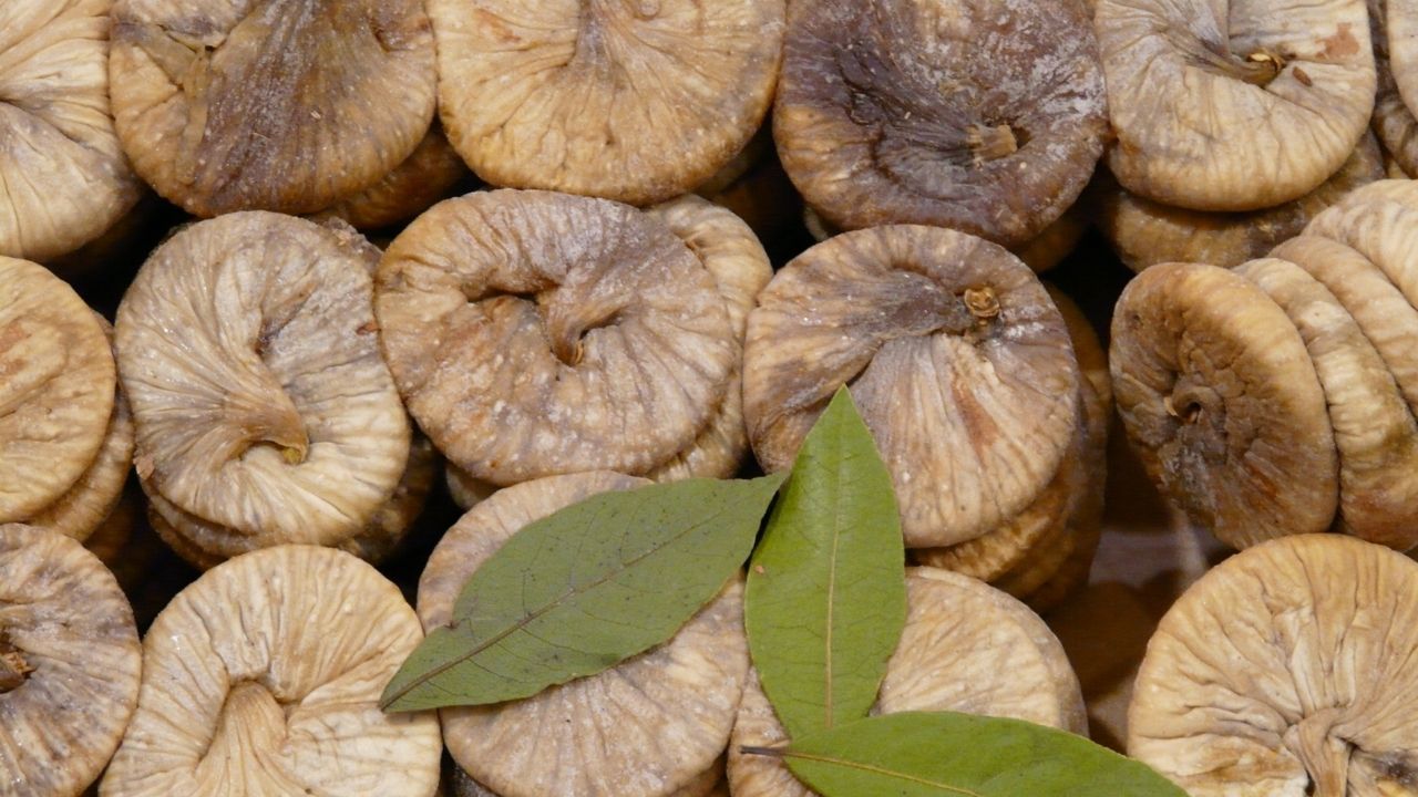 Adsız Tasarım 2025 09 18T200915.445