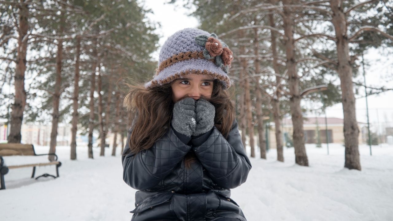 Hava Sıcaklıkları (1)