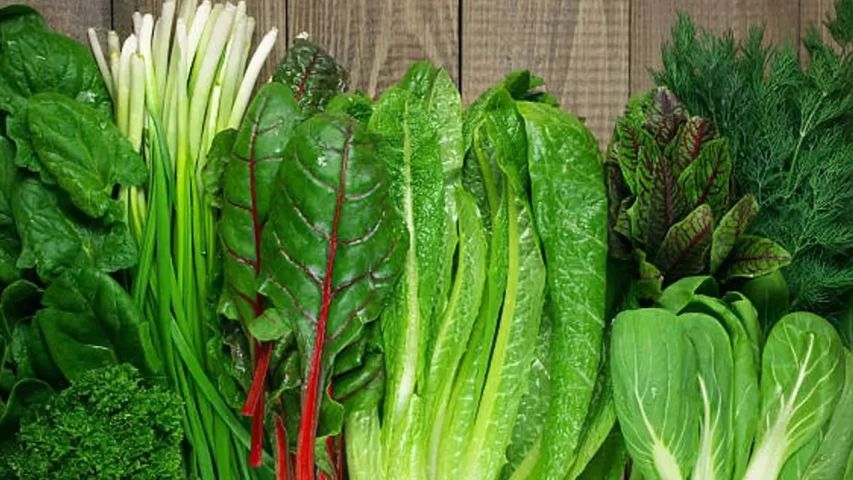 Uzmanlar Uyardı Bu Yiyecekleri Düzenli Tüketin (1)