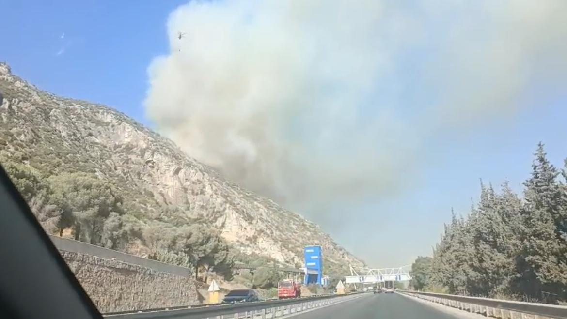 Whatsapp Image 2025 09 03 At 17.00.45