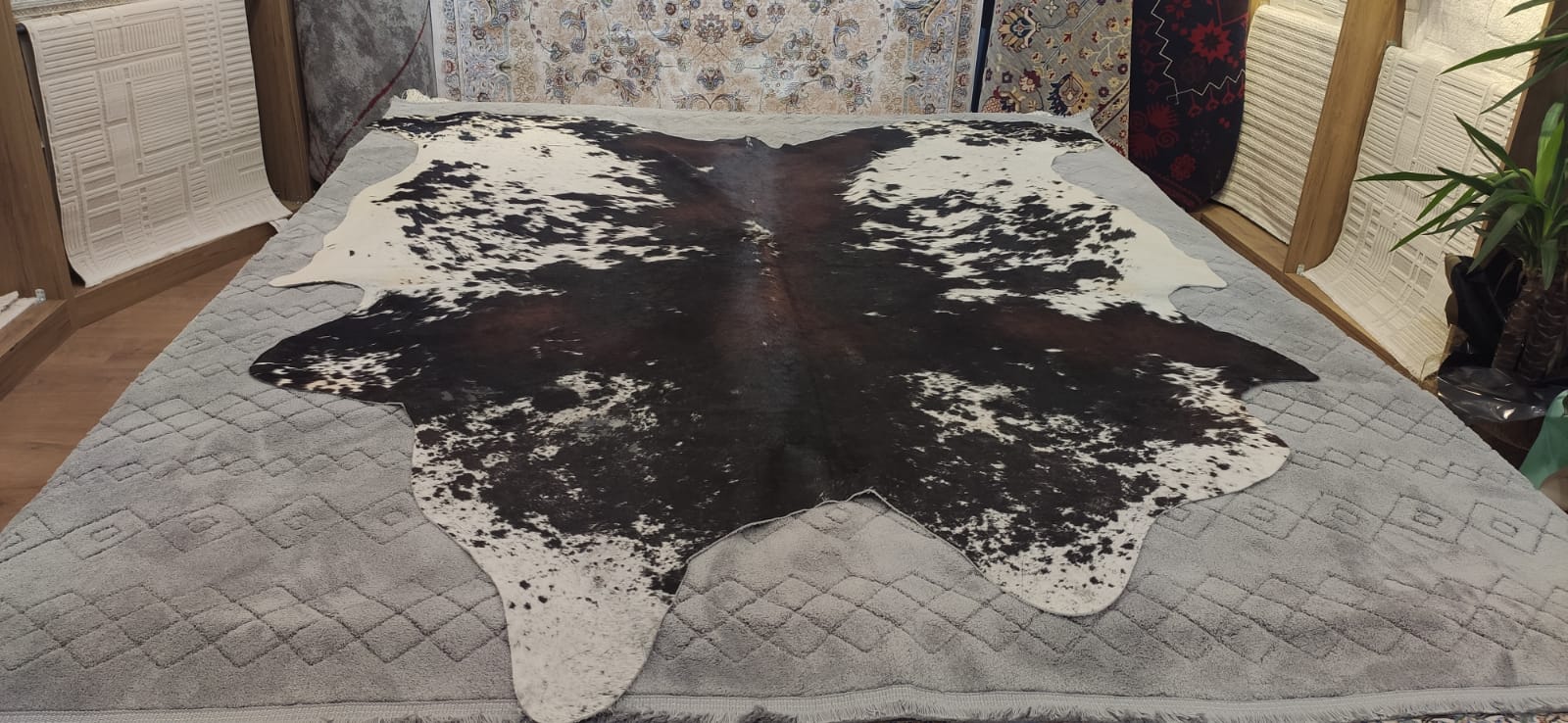 Whatsapp Image 2025 09 22 At 15.59.49 (1)