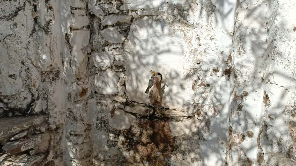 Whatsapp Image 2025 09 22 At 18.53.15