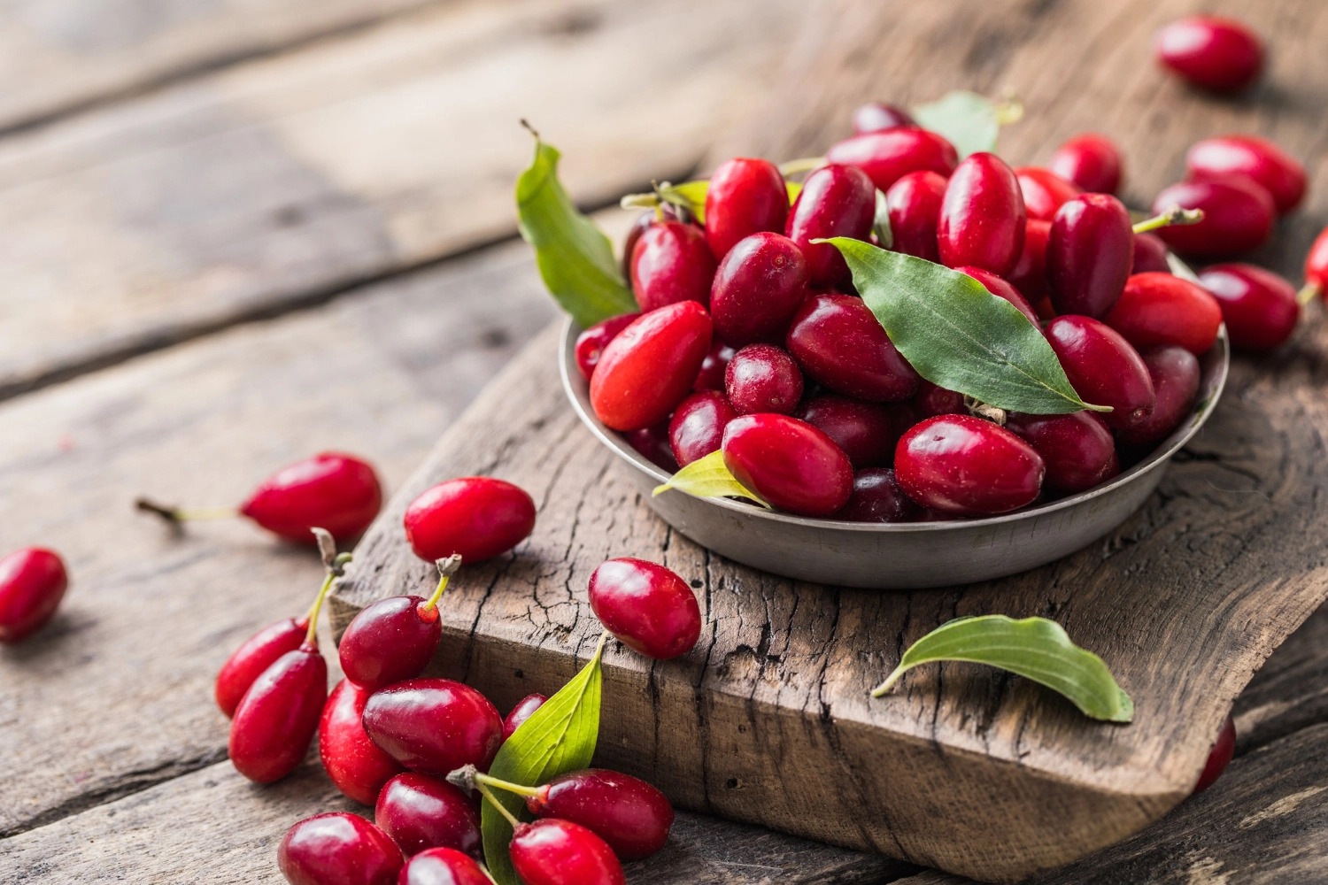 1234 1234 Kizilcik Agaci Meyvesi Cicekpostasi