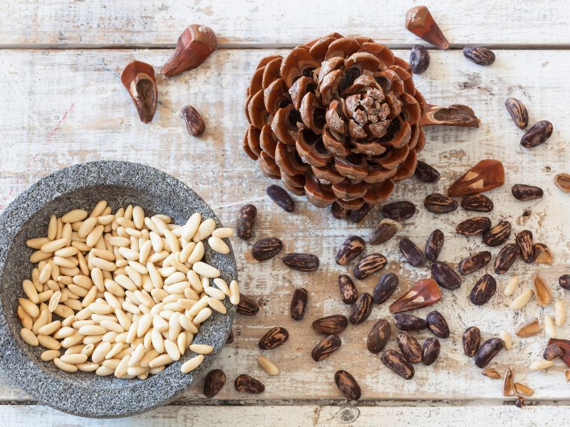 9Cdc7328 D3Db 46Aa 93B6 0822Eabcade1 Eac6B65E C16C 49Bf 971B 6Ba0082E70Eb