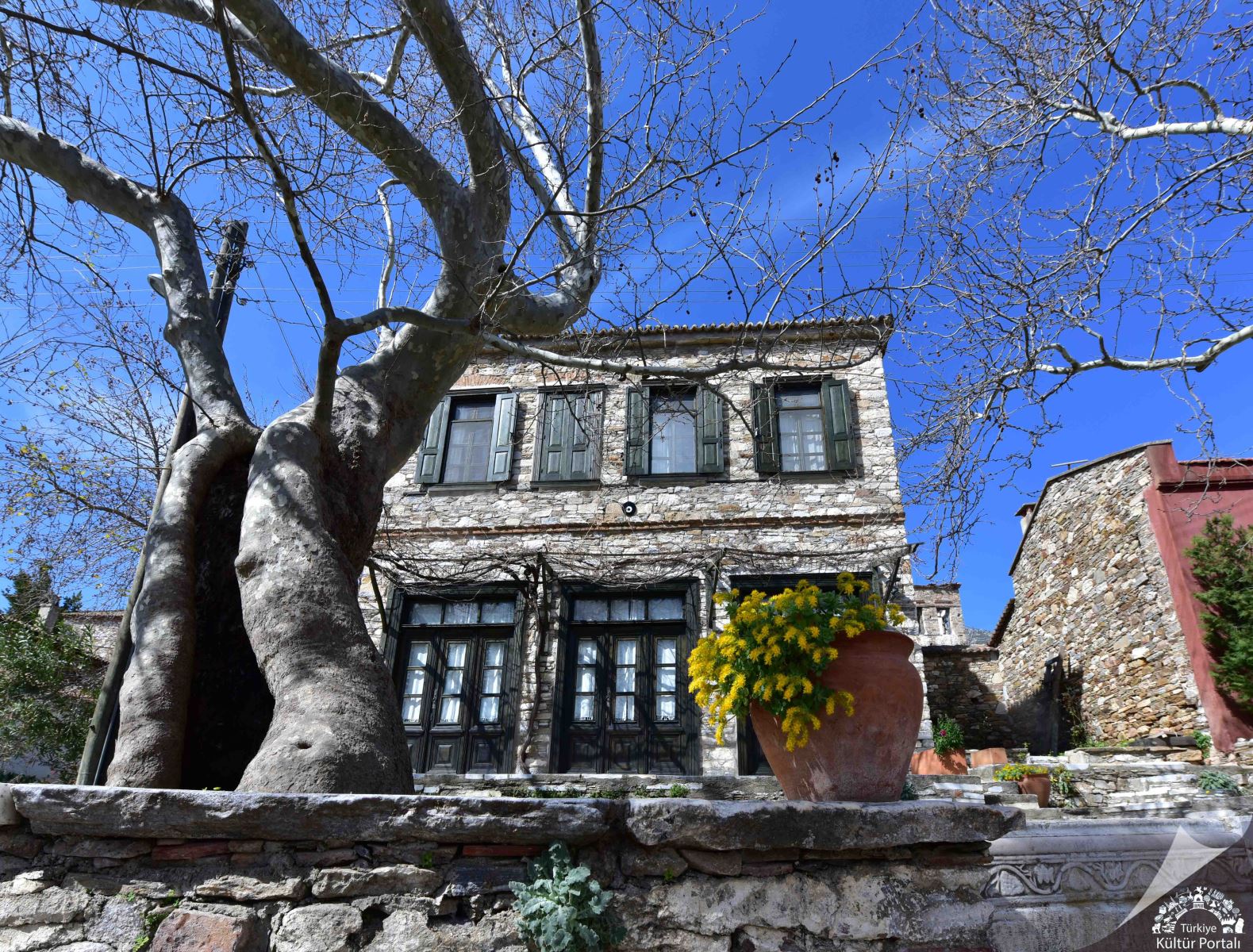 Aydın’da Huzurun Adresi Belli Oldu! Buraya Gelen Bir Daha Dönmek İstemiyor4