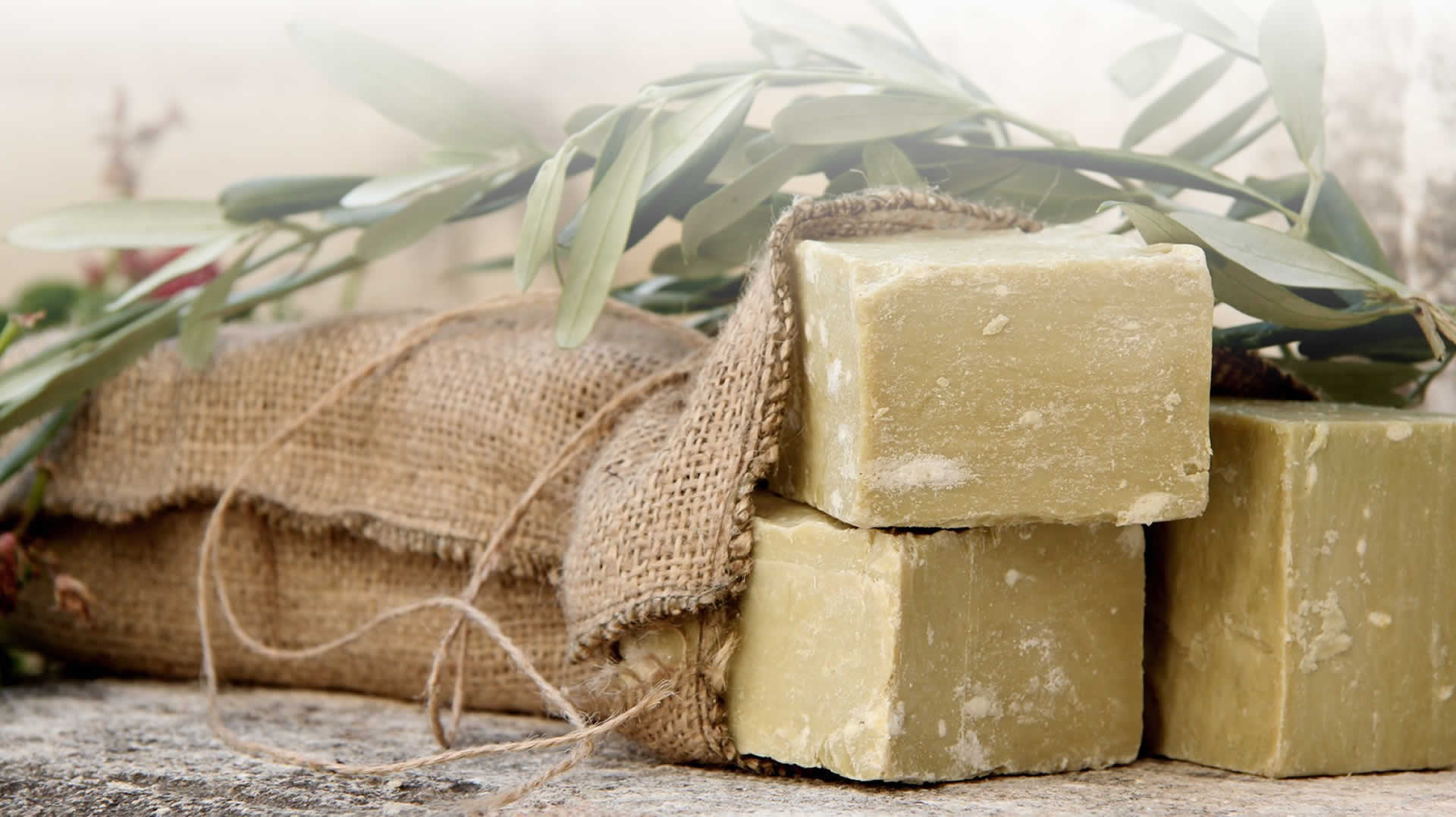 Aydınlıların Asırlık Sırrı Yıkıldı Sağlıklısı Meğer Zeytinyağlı Değilmiş! (1)