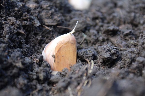 Bunu Yapan Aydınlılar Baharda Büyük Kazanacak! Kaçıran Pişman Olacak1
