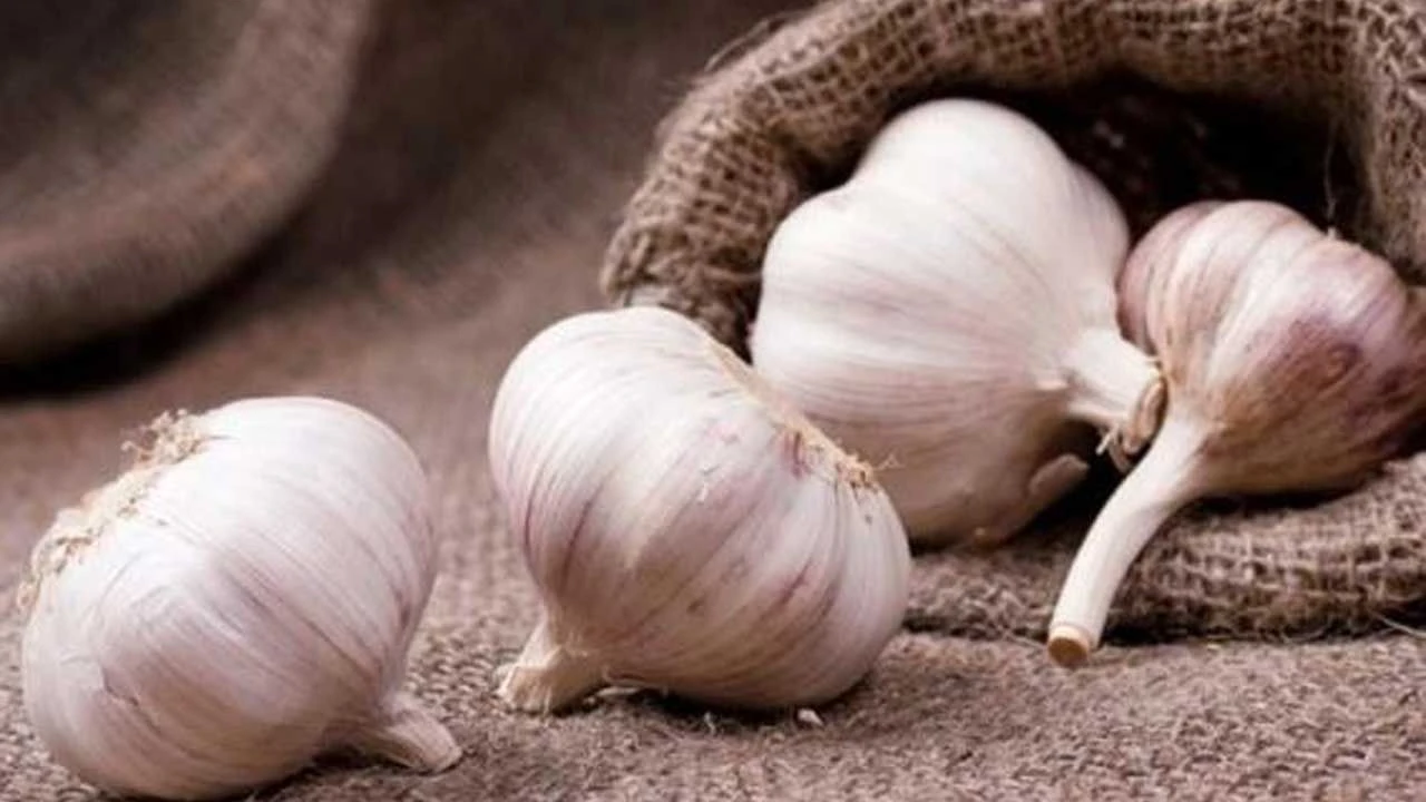 Bunu Yapan Aydınlılar Baharda Büyük Kazanacak! Kaçıran Pişman Olacak2