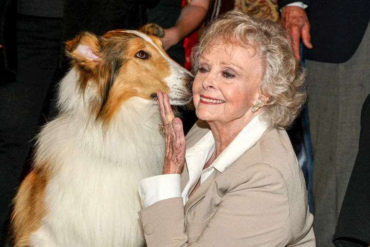 Hollywood’un Efsane İsmi June Lockhart Hayatını Kaybetti (2)
