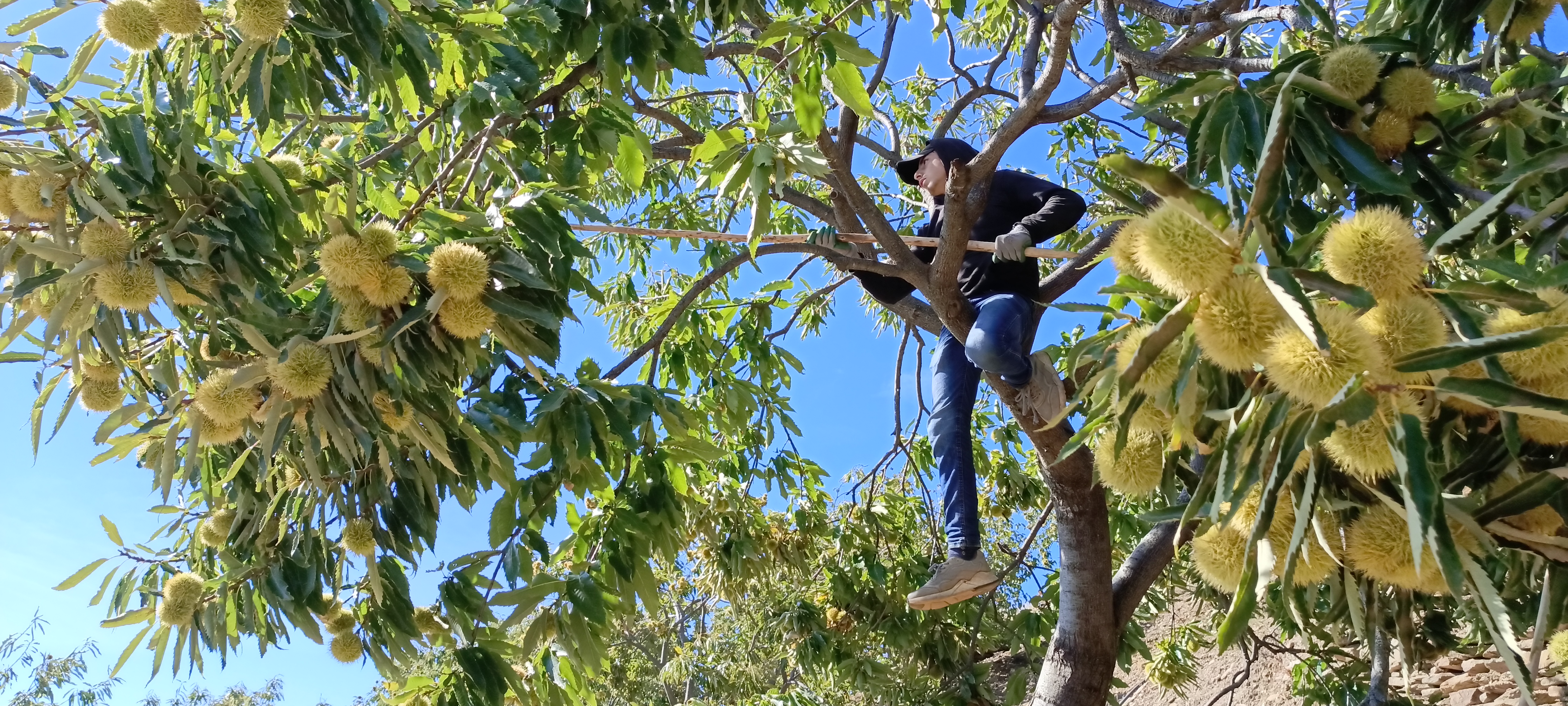 I M G 20251017 111124 852