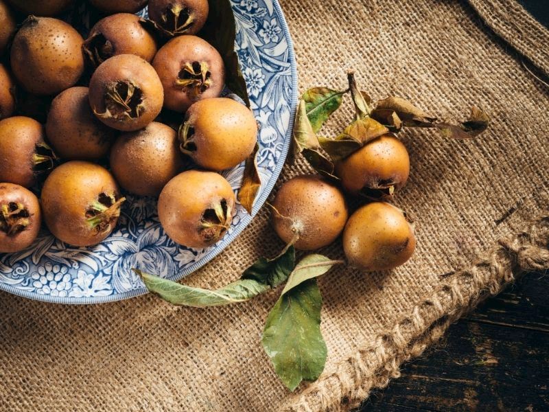 Musmula Nasil Yenir Faydalari Nelerdir B8D812Ed Cdb0 4376 9Db3 Daef715363F2