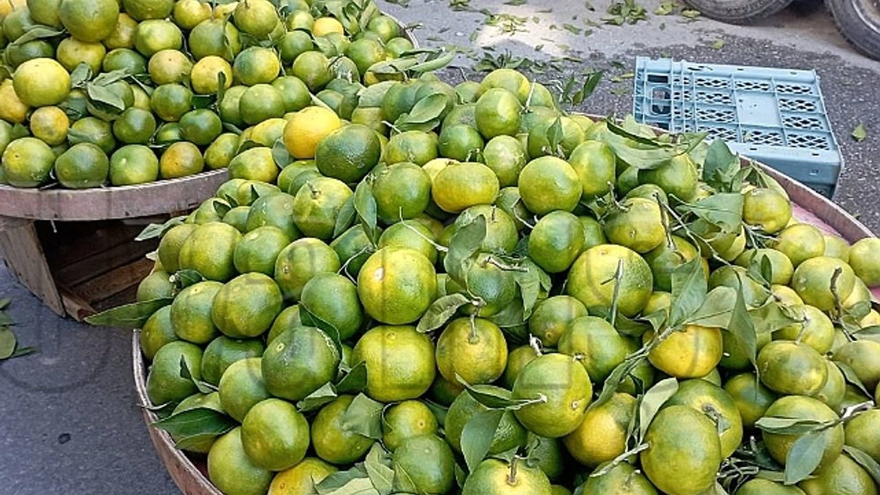 Raflarda Turuncu Mandalina Dönemi Kapandı! Uzmanlar Gerçeği Açıkladı (1)-1