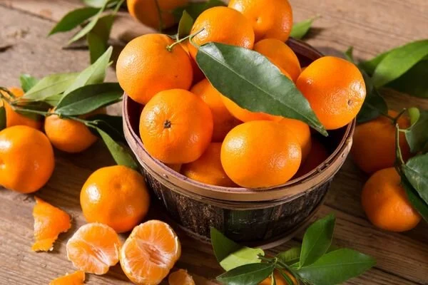 Raflarda Turuncu Mandalina Dönemi Kapandı! Uzmanlar Gerçeği Açıkladı (2)-1