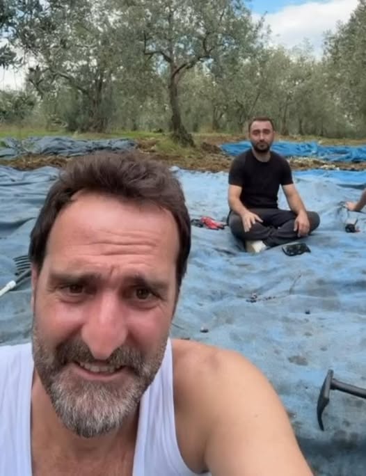 Ünlü Oyuncu Timur Acar, İznik’teki Zeytinliğinde İlk Hasadını Tamamladı