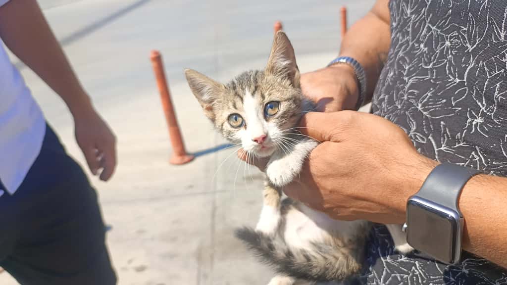 Whatsapp Image 2025 10 01 At 12.58.05