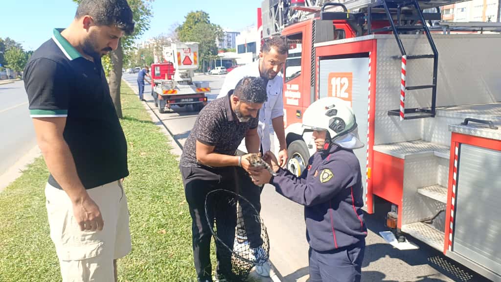 Whatsapp Image 2025 10 01 At 12.58.06